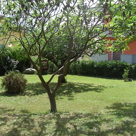 Pier Delle Vigne