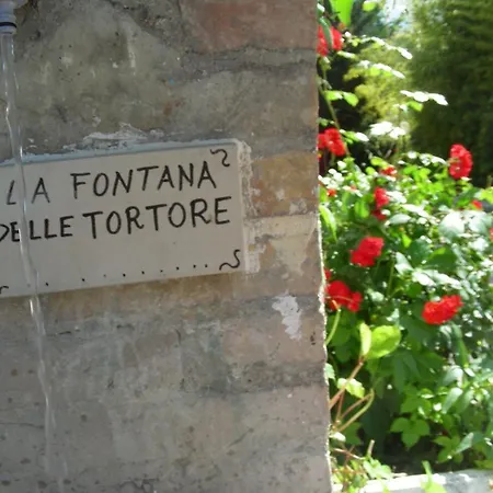 Farm stay Pier Delle Vigne Pineto