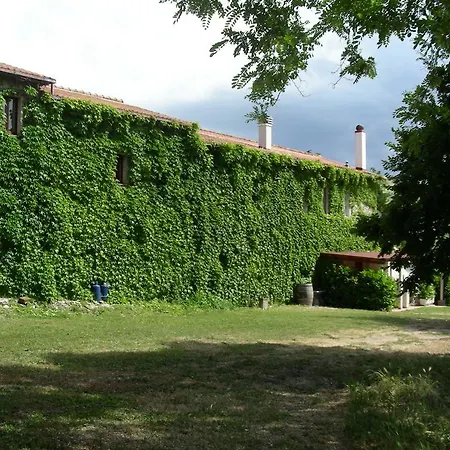 Farm stay Pier Delle Vigne