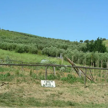 Pier Delle Vigne Pineto
