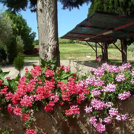 Lantgård Pier Delle Vigne *