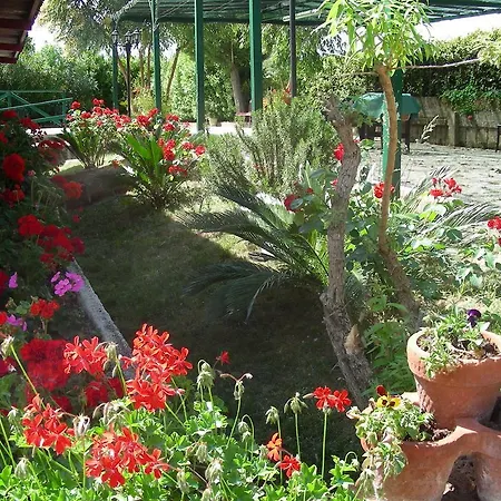 Pier Delle Vigne