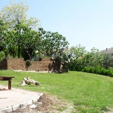 Pier Delle Vigne *