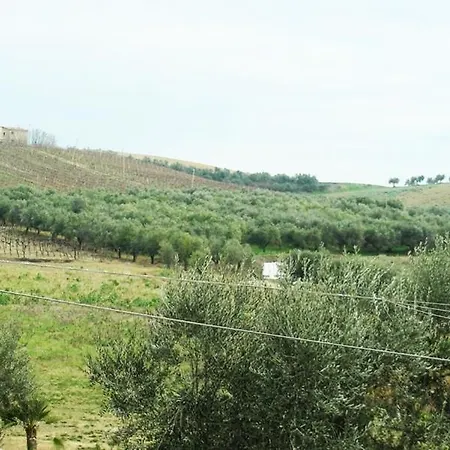 Pier Delle Vigne *