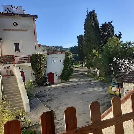 Pier Delle Vigne