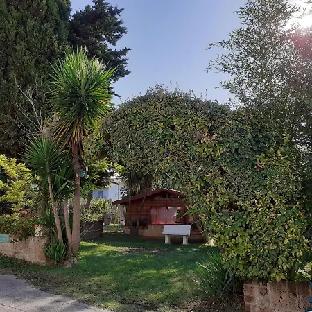 Pier Delle Vigne *