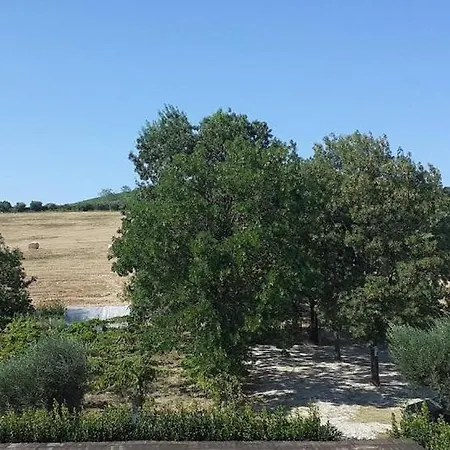 Pier Delle Vigne * Pineto