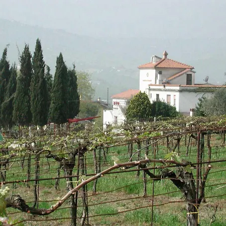 Pier Delle Vigne