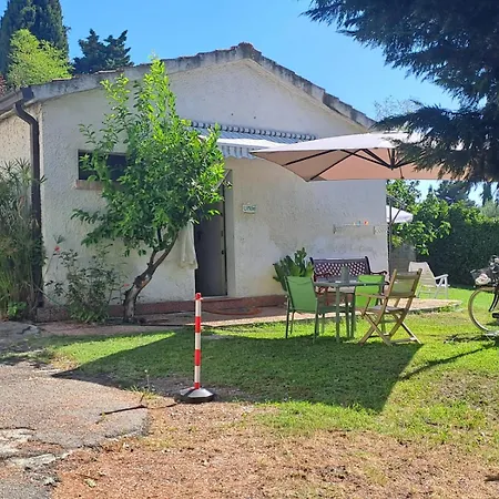 Pier Delle Vigne Pineto