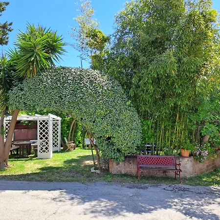 Pier Delle Vigne * Pineto