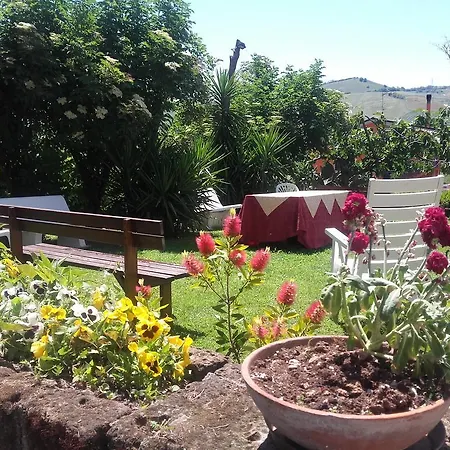 Farm stay Pier Delle Vigne *