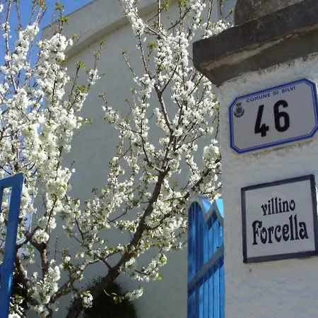 Farm stay Pier Delle Vigne Pineto