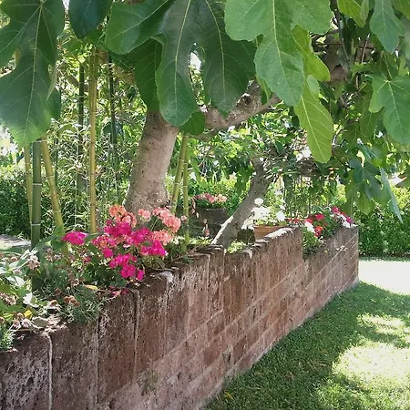 Farm stay Pier Delle Vigne