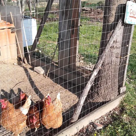 Κατάλυμα σε φάρμα Pier Delle Vigne