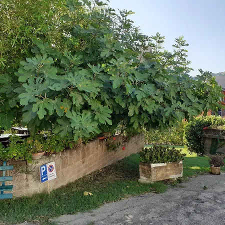 Pier Delle Vigne Farm stay *