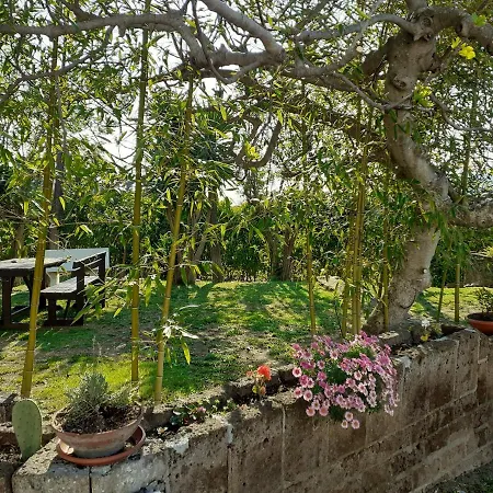 Farm stay Pier Delle Vigne *