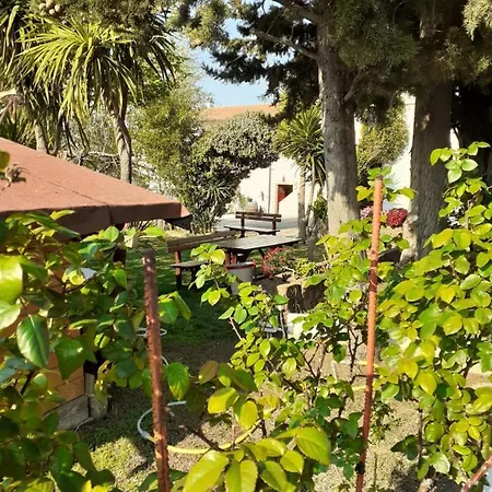 Pier Delle Vigne Vakantieboerderij Pineto