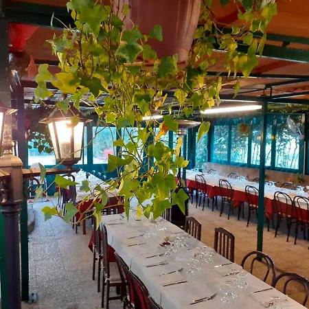 Pier Delle Vigne