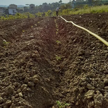 Pier Delle Vigne Gospodarstwo agroturystyczne Pineto