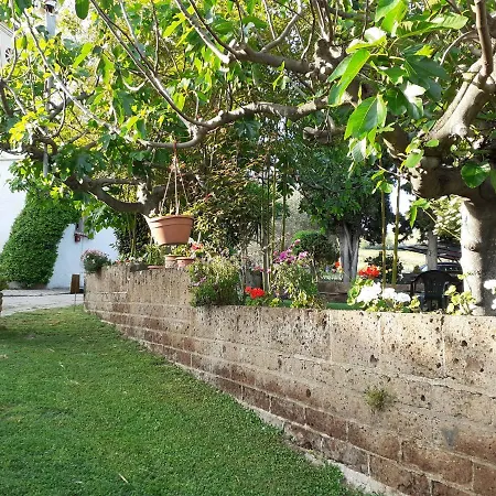 Gospodarstwo agroturystyczne Pier Delle Vigne Pineto