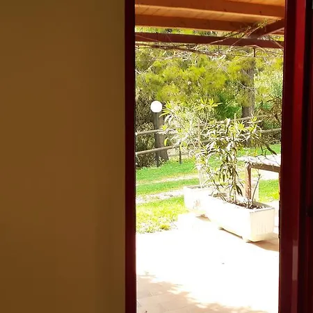 Pier Delle Vigne * Пинето