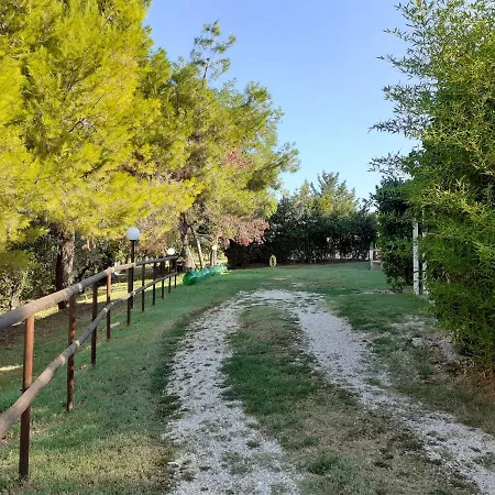 Pier Delle Vigne * Пинето