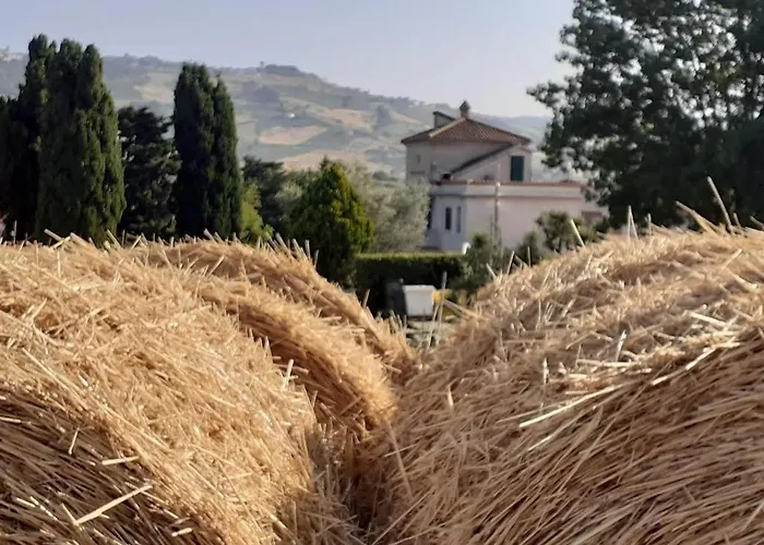 Farmház Pier Delle Vigne Pineto