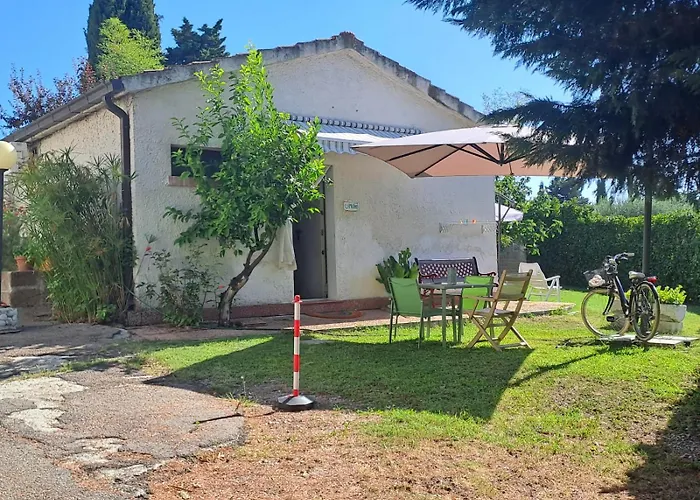 Pier Delle Vigne Пинето