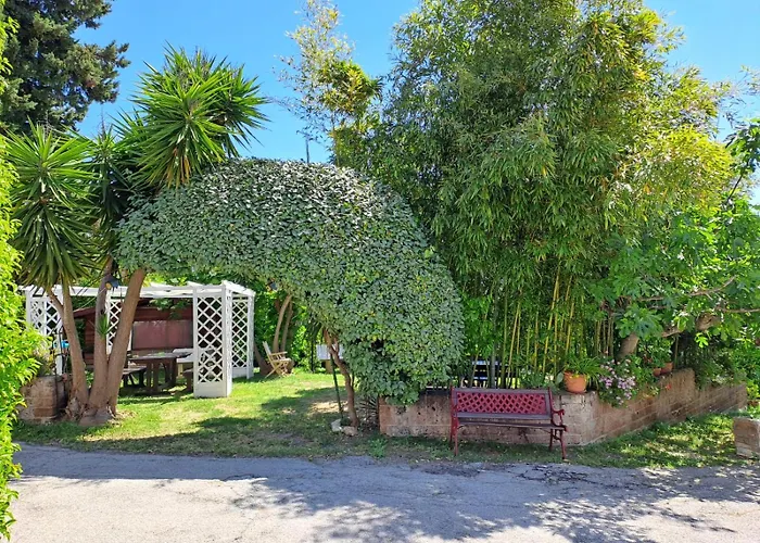 Pier Delle Vigne * Пинето