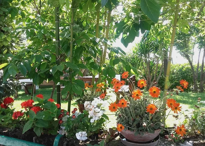 Pier Delle Vigne Фермерский дом