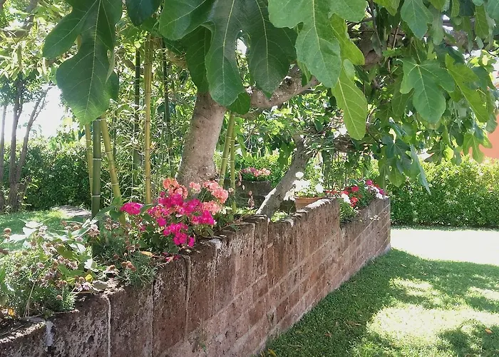 Farmház Pier Delle Vigne