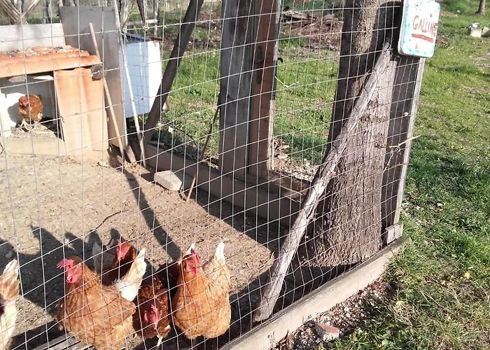 Фермерский дом Pier Delle Vigne