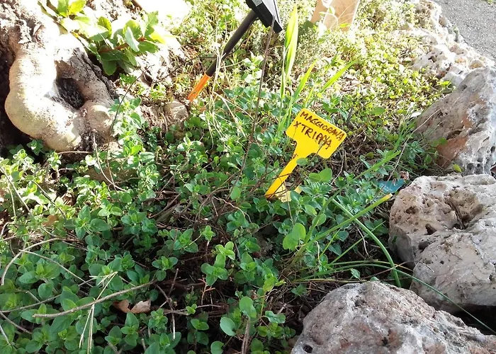 Фермерский дом Pier Delle Vigne *
