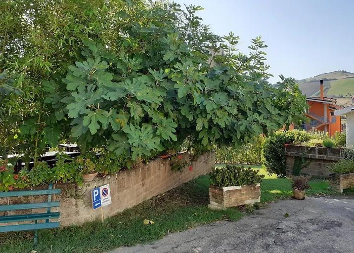 Pier Delle Vigne Farmház *