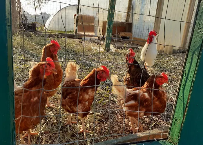 Farmház Pier Delle Vigne Pineto