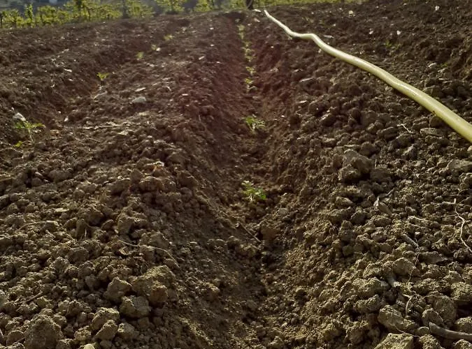 Pier Delle Vigne Farmház Pineto