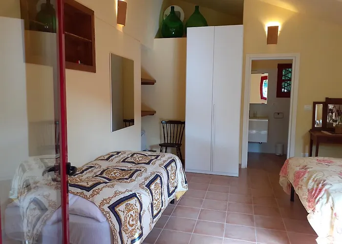 Pier Delle Vigne Пинето