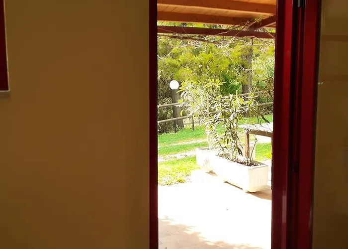 Pier Delle Vigne * Pineto