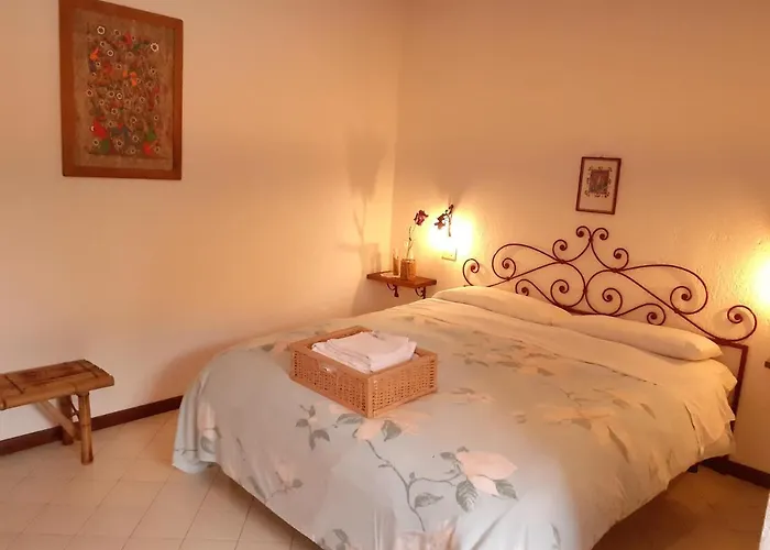 Pier Delle Vigne * Пинето