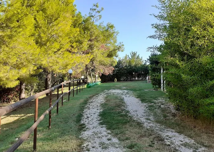 Pier Delle Vigne * Пинето