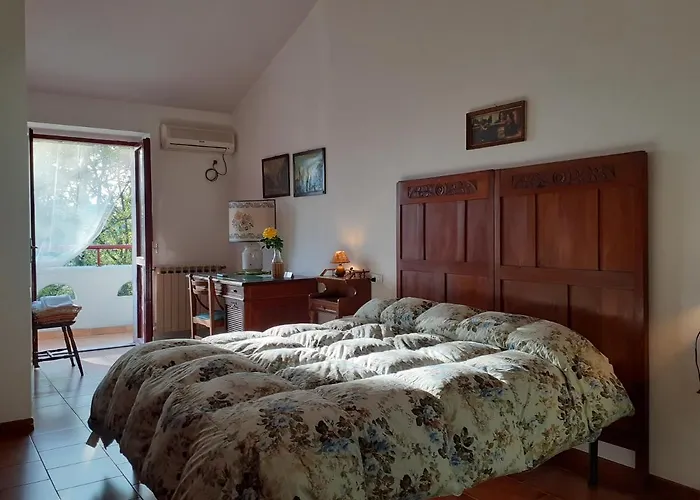 Pier Delle Vigne * Пинето